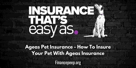 ageas pet insurance cost.